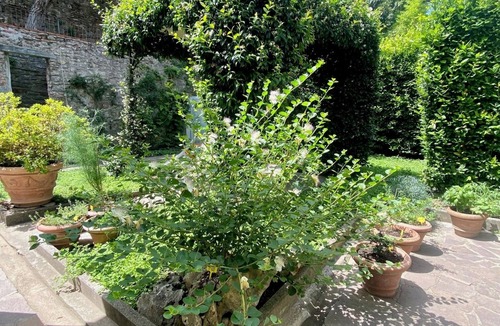 San Niccolo Apartment | Tom's Florence Walled Garden: Top Floor Oasis on Historic Walls