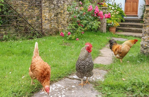 Watermouth Cottage | Tom's House