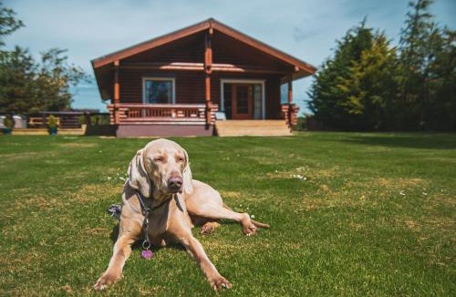Berwick-upon-Tweed Ski Chalet | Tomatin - Luxury Two Bedroom Log Cabin with Hot Tub