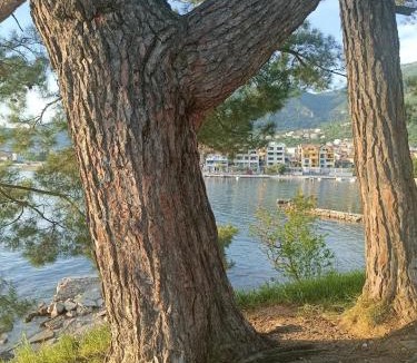 Tivat Apartment | Tondo