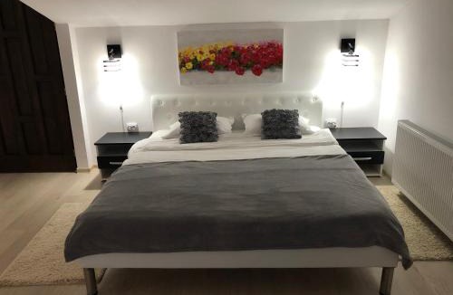 Sighisoara Apartment | Toni Room