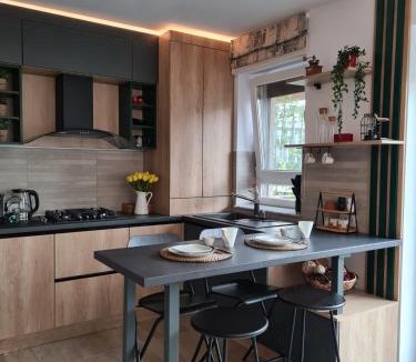 Tractorul Apartment | Tonic Studio Coresi