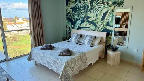 Protaras Apartment | Too Coool Studio Apartment Coralli Resort