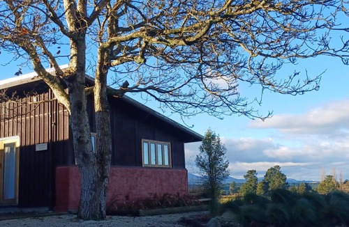 Springfield House | Torokiki bach - a place to rejuvenate