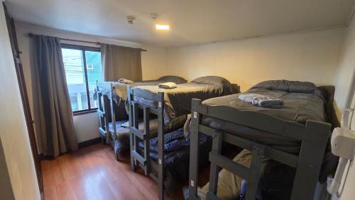 Province of Tierra del Fuego Hotel | Torre al Sur