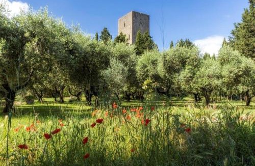Montecatini Val di Cecina Villa | Torre dei Belforti