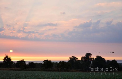 Simrishamn Bed & Breakfast | Torsborgs Gård