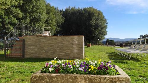 Cicogna Villa | Total Tuscany Countryside Villa