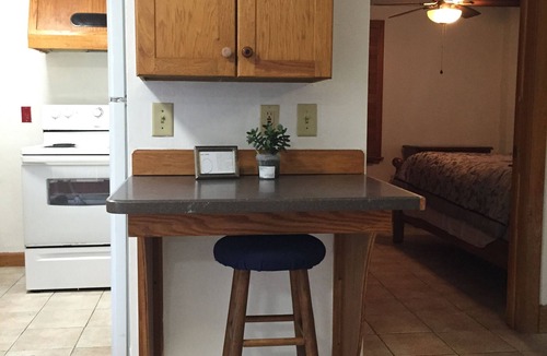 Gainesville Apartment | Townhome in downtown, walk to bars, restaurants, Bo Diddly park and Depot Park