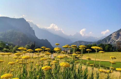 Valle di Cadore Apartment | Tra prati e monti - Dolomiti Bellunesi