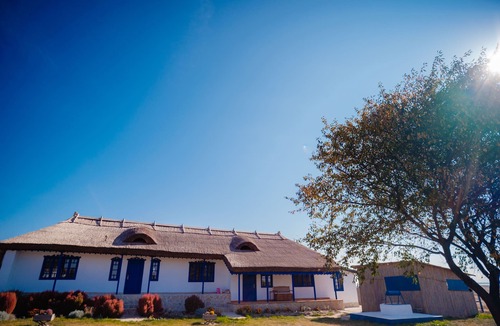 Tulcea County House | Traditional house with one bedroom apartment/fireplace and porch.