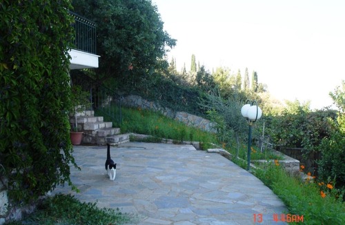 Mathia Apartment | Traditional stonehouse