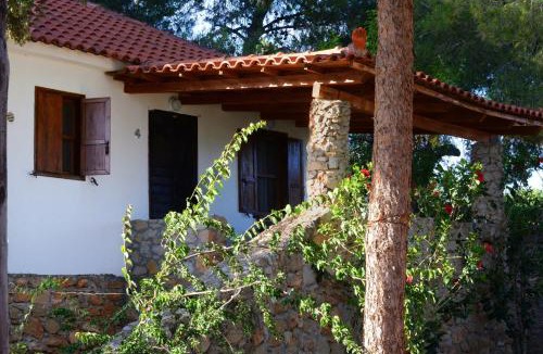 Tragana Apartment | Traganitsa Apartments