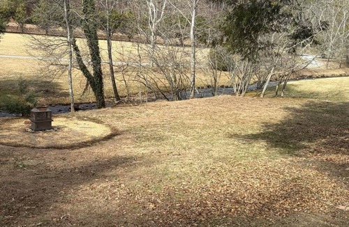 Hiawassee Cabin | Tranquil 2-bedroom cabin on the head waters of the Hiawassee River
