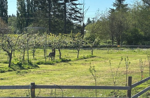 Arlington Cottage | Tranquil 3-bedroom cottage Farm Stay