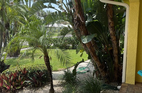 Bay Esplanade Cottage | TRANQUIL COTTAGE 1 BLOCK FROM CLEARWATER BEACH