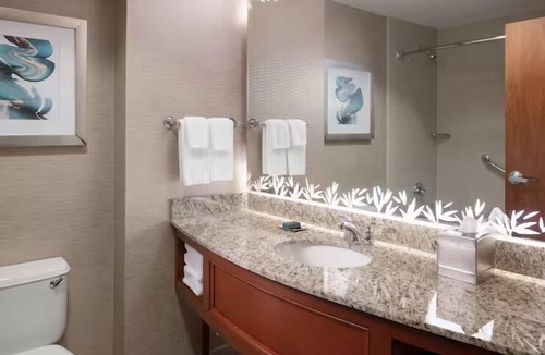 St. Petersburg Hotel | Tranquil Cpuples Oasis near Beaches | Infinity Pool, Waterfront Dining