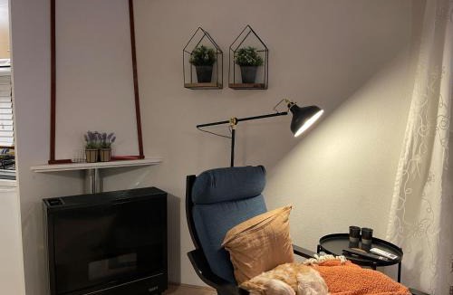 Doornspijk Ski Chalet | Tranquil forest chalet by a pond in Veluwe, sleeps 4