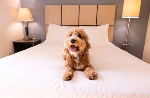 Baymeadows Resort | Tranquil Haven: Relaxing Suites with All the Comforts