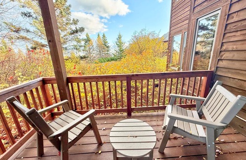 Lutsen Condo | Tranquil Hillside Lower 1BR Guestroom in Lutsen
