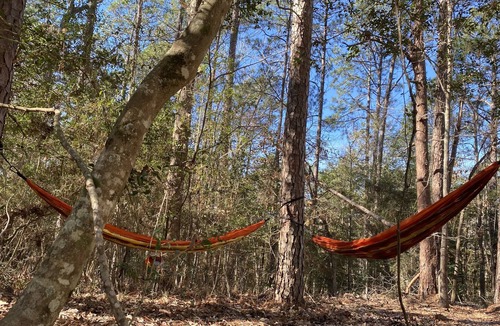 Brookeland Cottage | Tranquil Pine Retreat: Hammocks, Kayaks, Golf, WIFI, and minutes to ramps ⛳️ 🎣🥂