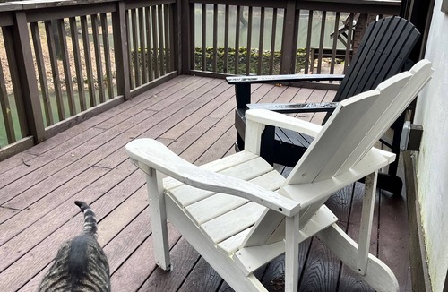 Grants Pass Apartment | Tranquil Studio Amongst the Pines Near Redwood Highway - Pet Friendly!