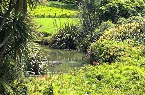 Piha Cabin | Tranquil sunny spot in the heart of Piha. 10 minutes walk to the beach.