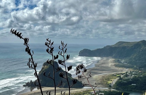 Piha Cabin | Tranquil sunny spot in the heart of Piha. 10 minutes walk to the beach.