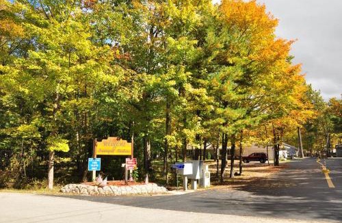 Sturgeon Bay Resort | Tranquil Timbers Cabin 11