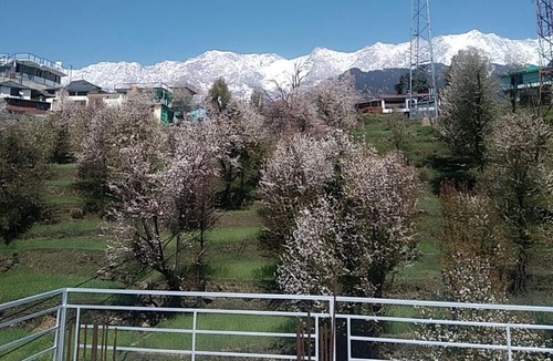 Naddi House | Tranquil trails home stay naddi
