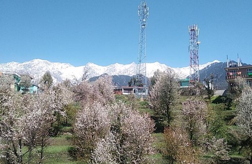 Naddi House | Tranquil trails home stay naddi