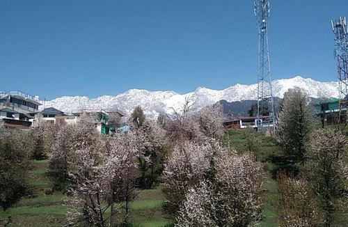 Naddi House | Tranquil trails home stay naddi