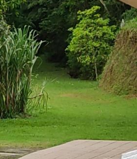 Capelinha House | Tranquilidade, Home office em Rancho Dini