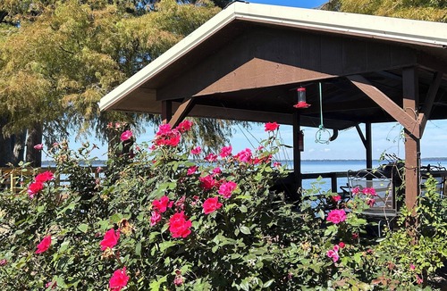 Wynnburg House | Tranquility Base II: Lakeside Get a Way on Reelfoot Lake ! Sleeps 4-6