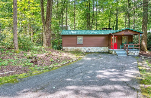 Sherwood Forest Cabin | Tranquility Falls Maggie Valley Cabin w/Fire Pit Pool and Hot Tub