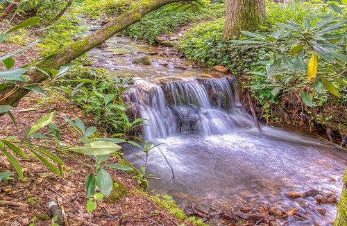 Sherwood Forest Cabin | Tranquility Falls Maggie Valley Cabin w/Fire Pit Pool and Hot Tub