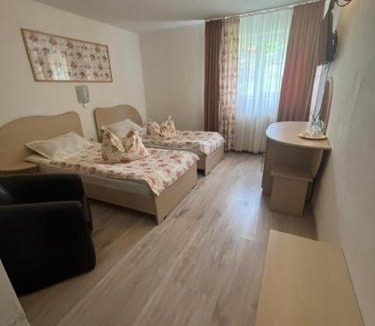 Saschiz Hotel | Tranzit