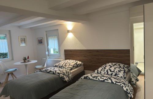 Aldingen Apartment | Traumhaft modernes Zimmer mit Doppelbett,Gemeinschaftsbad und WC in 78554 Aldingen