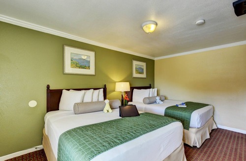 Williams Hotel | Traveler's Inn
