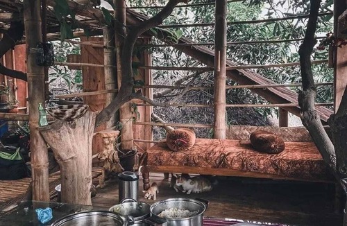 Narayanapura House | Tree and Mud House