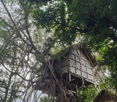 Tanna Island Hotel | Tree Home Adventure