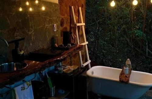 Vitor Hugo House | Tree House