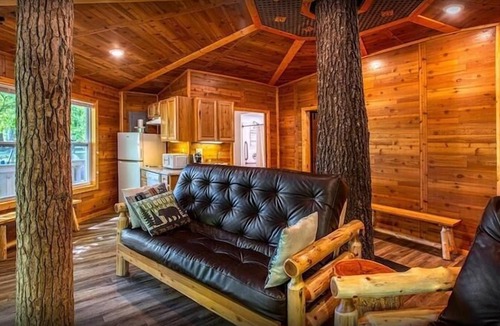 Manchester Cabin | Tree House Deluxe Cabin w/bath - Glamping with real trees growing in the center of the cabin!