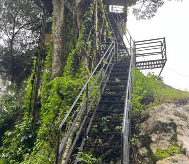 Devikolam Other | Tree House Munnar