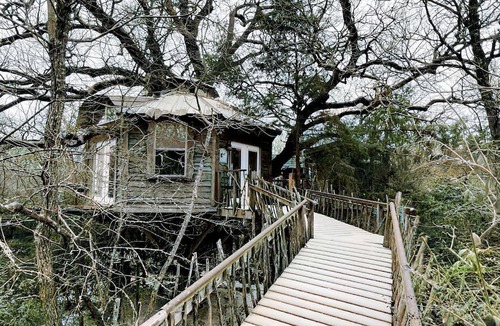 Celeste Cabin | Tree House Rental with Private Pool in Celeste, for Glamping Adventures in Texas