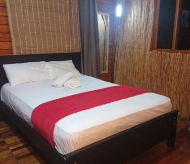 Arenal Hot Springs Apartment | Tree House River