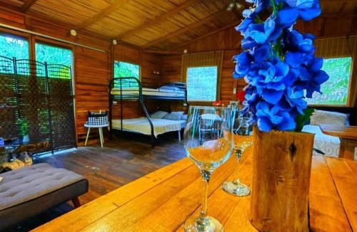Arenal Hot Springs Apartment | Tree House River