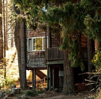 White Salmon House | Tree House Style Cabin Nestled at the Foot of Scenic Snow-Capped Mt. Adams, Washington