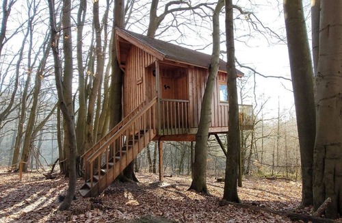 Solling Apartment | Tree tent beech - Baumhaushotel Solling