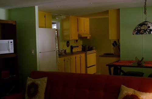 Bearss Plaza House | 'Tree Tops' A Florida Friendly, Pet Friendly, Rental